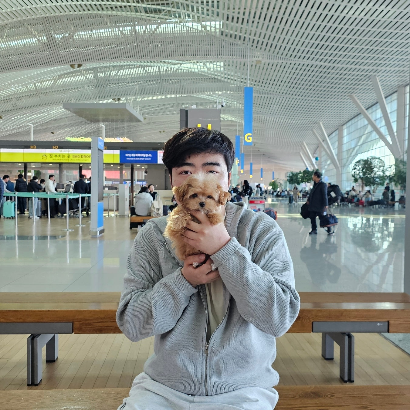 Unexpected Challenges When Shipping Your Puppy Internationally — and How to Handle Them