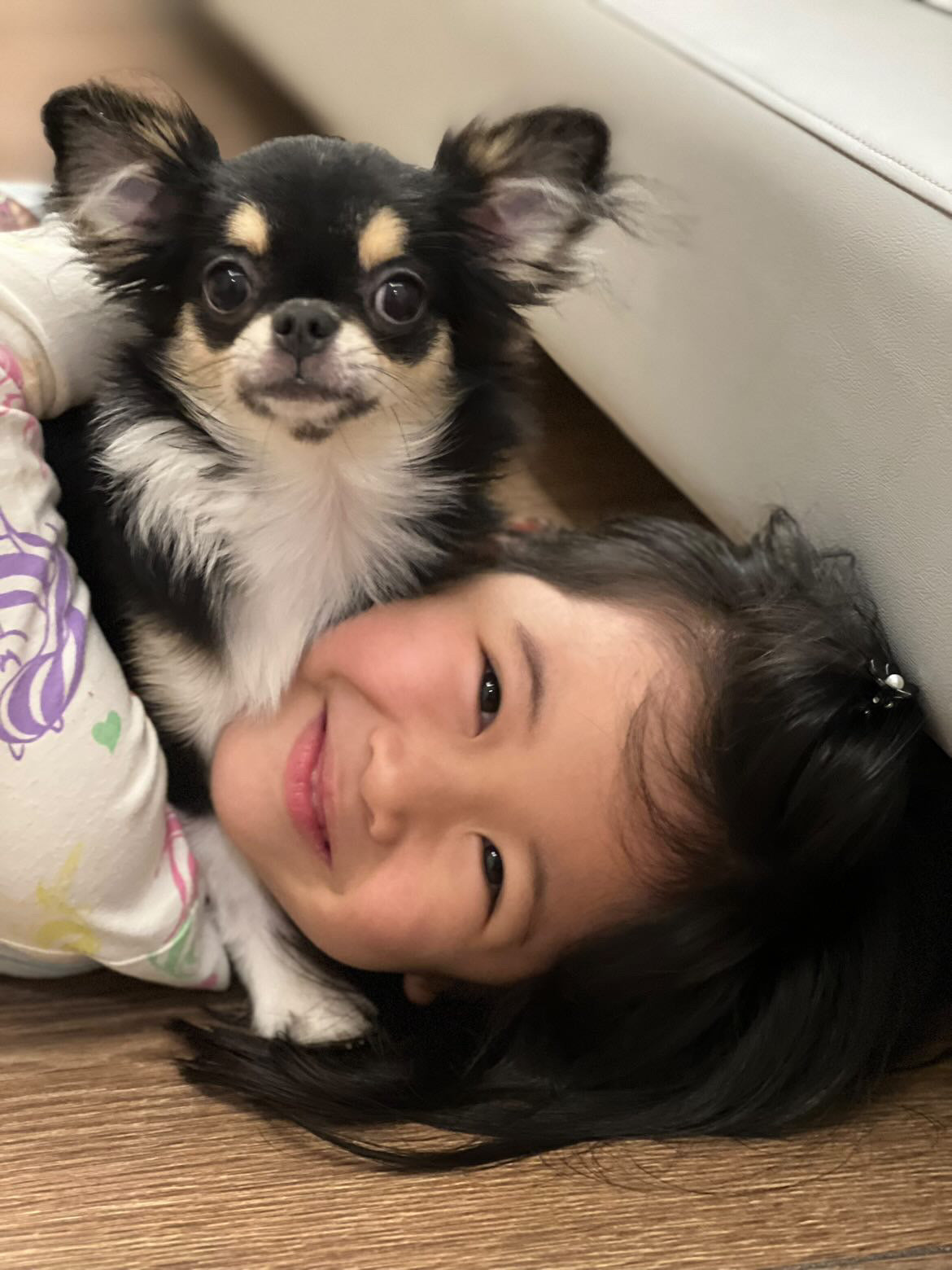 The Genetic Heritage and History Behind Chihuahua Temperament: Confident, Loyal, and Loving