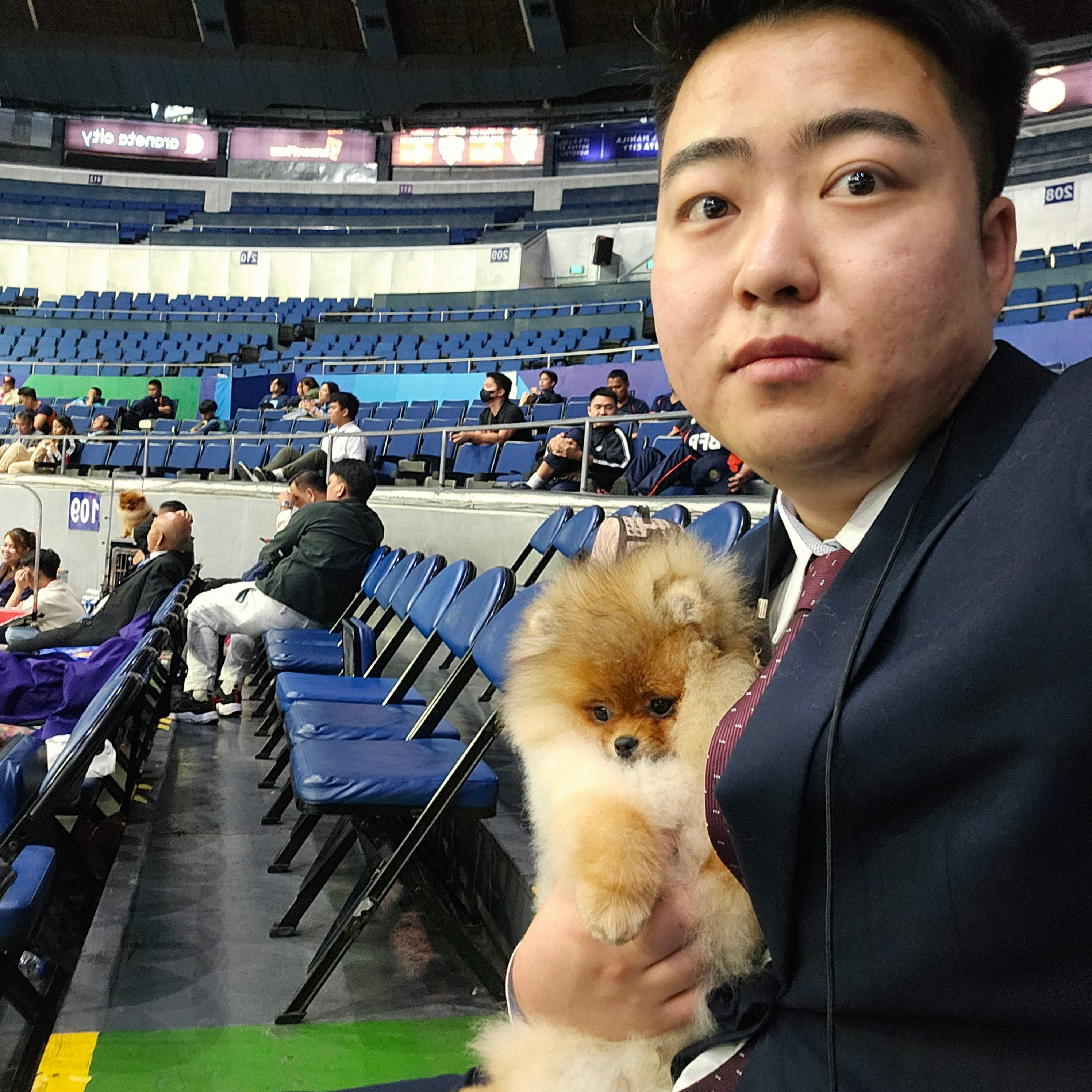 The Pomeranian continues to be a favorite around the world, but why?