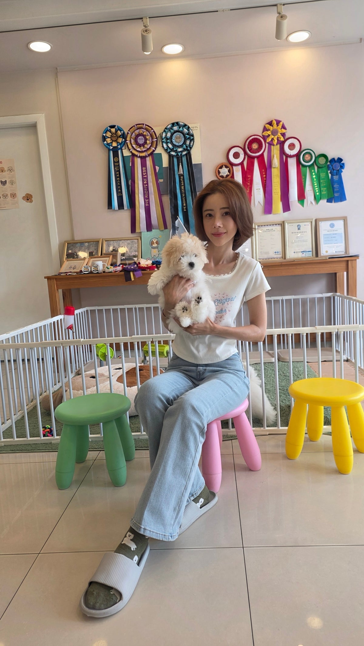 แจม ชรัฐฐา กับลูกสุนัขโกตอน เดอ ตูเลียร์ ที่ Kim's Pups เกาหลี | Jam Charattha with a Coton de Tulear puppy at Kim's Pups Korea