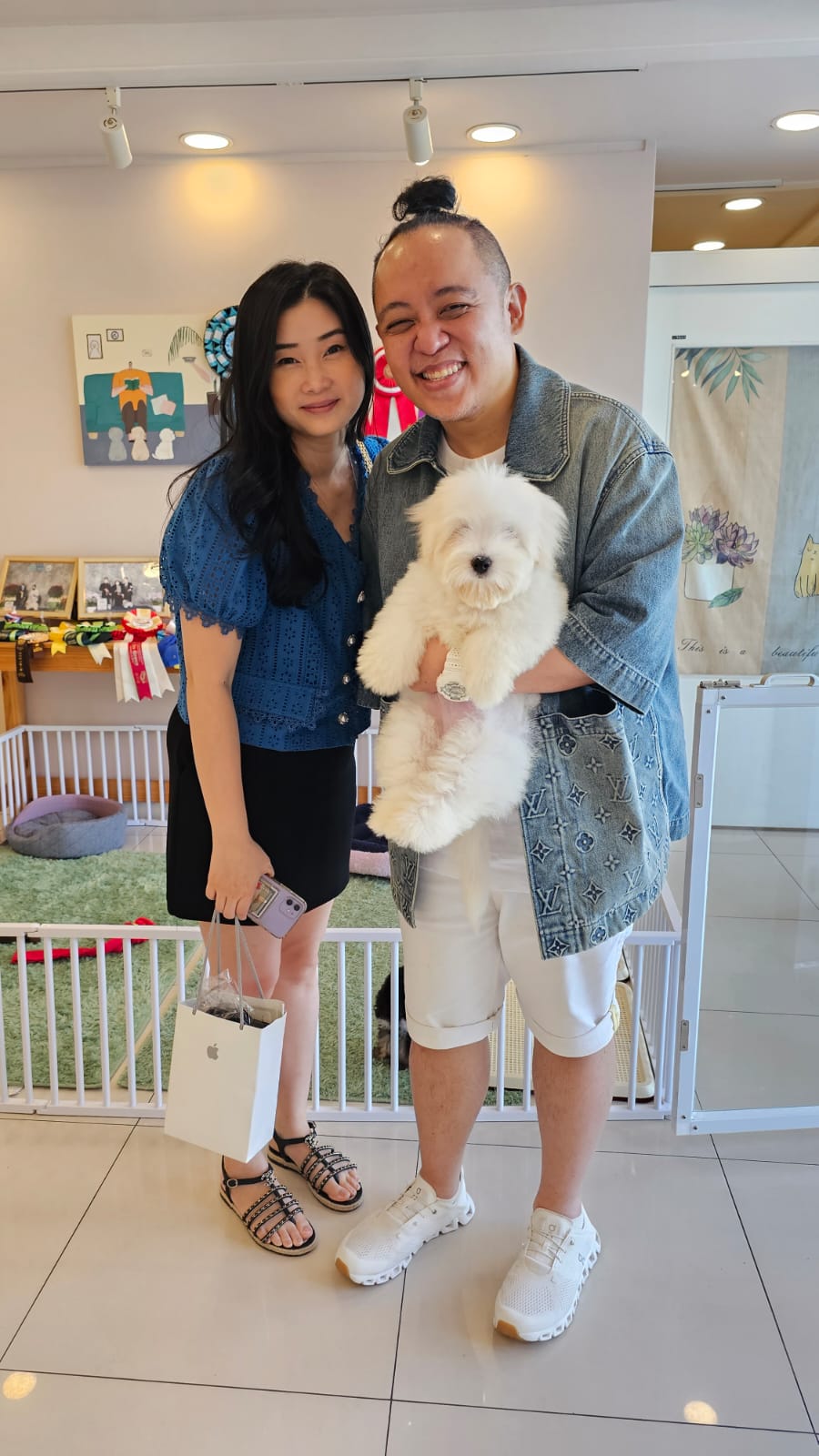 Shu Hua: A Coton de Tulear from Korea to Indonesia